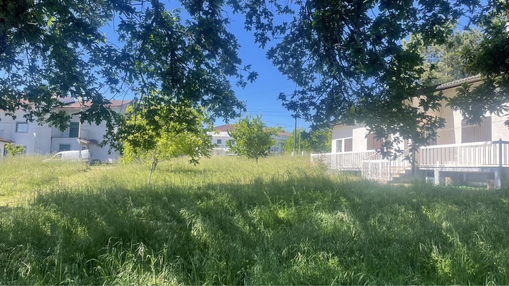 ServiÇo de desmataçao de terrenos agricolas