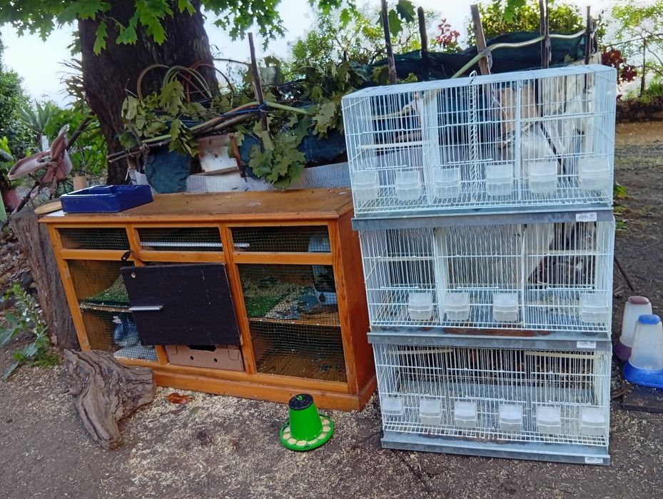 Gaiola criação viveiro de três divisões