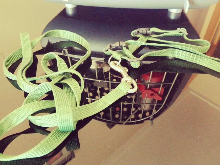 Caixa para transporte de animais + extras