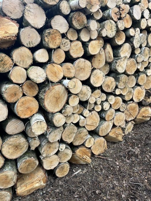 SOSNA CIĘTA Drewno kominkowe opałowe brzoza sosna grube sezonowane