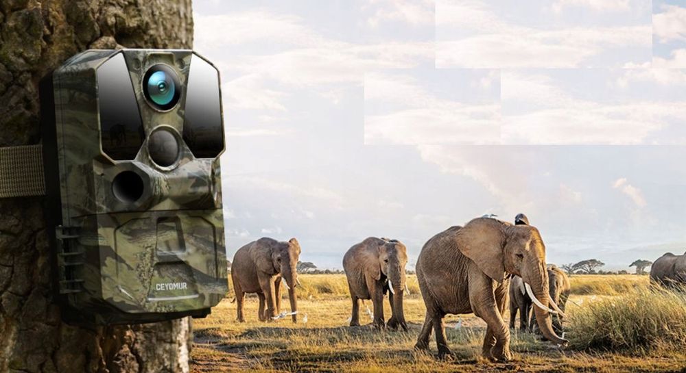 Fotopulapka kamera leśna noktowizyjna CEYOMUR CY65 40MP WiFi 4K