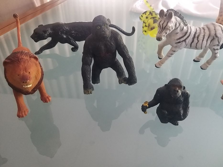 Conjunto de animais64739414686467124