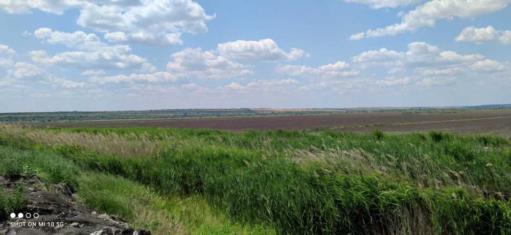 Продаж 100 га одним масивом під полив