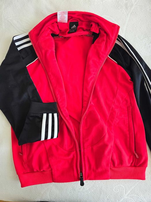 Fato de treino criança SL Benfica adidas M