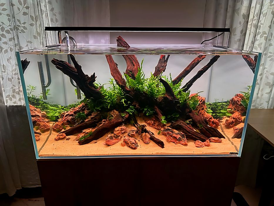 Akwarium Aranżacja
