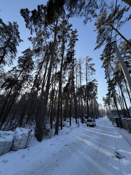 Ділянка у сосновому лісі 8-10 соток с. Ходосівка Новообухівська траса