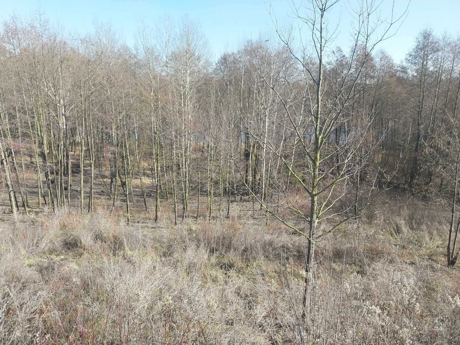 Działka budowlano-rekreacyjna 2900m2 nad jeziorem z linią brzegową