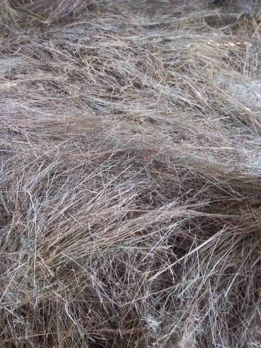 Продам запашне сіно