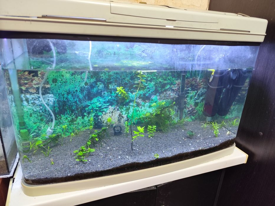 Аквариум панорамный Rusen 800 120л.