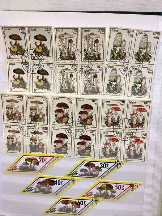 Album de selos formato A 4.