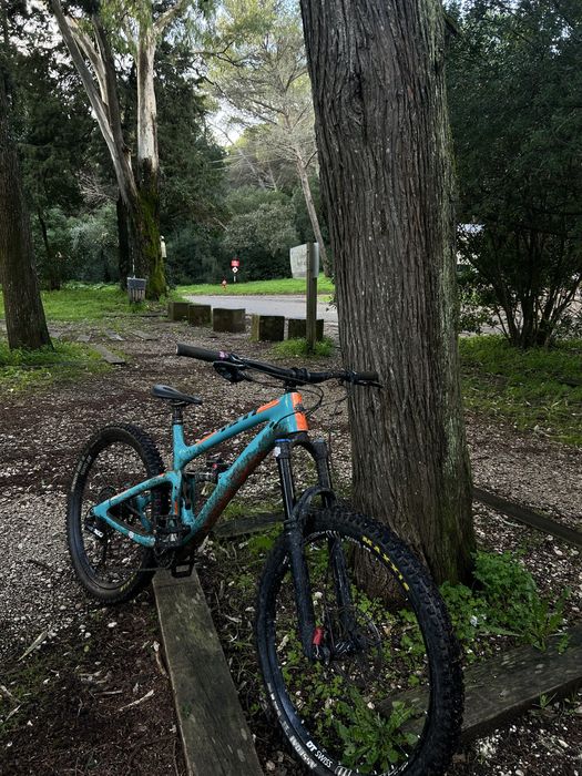 Yeti sb6 carbon 2019