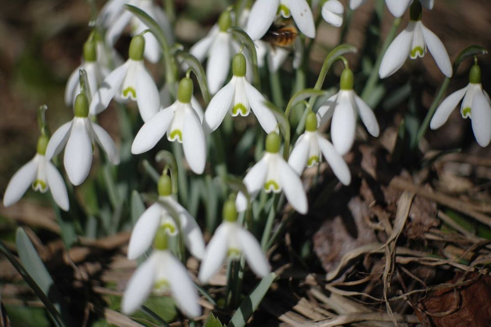 Объектив ВЕГА-9 СССР.