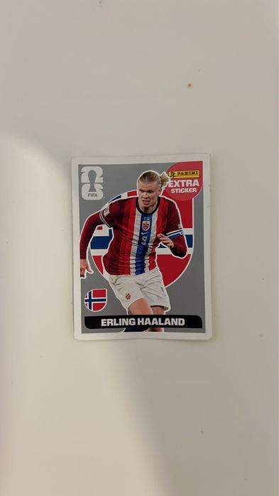 Halland extra sticker silver
