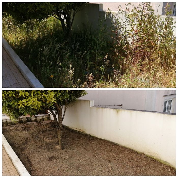 Limpeza terreno com roçadora