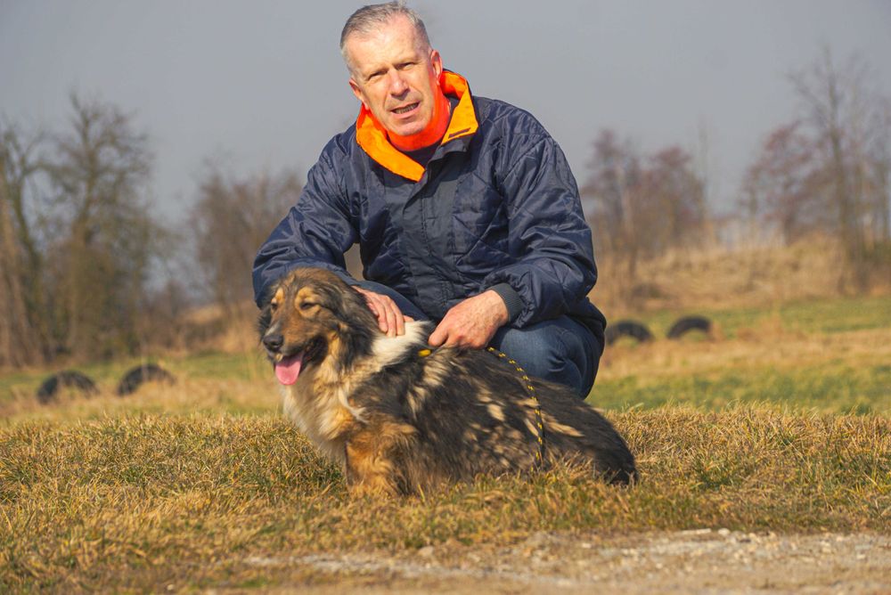 Still przyjazny, kontaktowy piesek