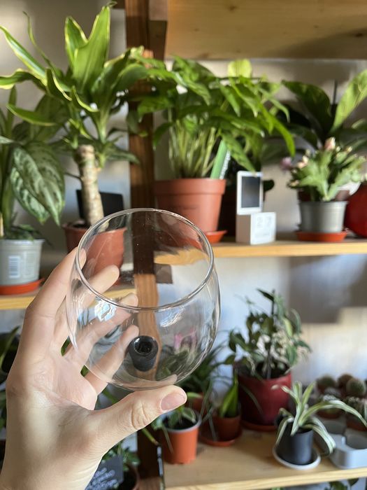 Келих-корок для вина