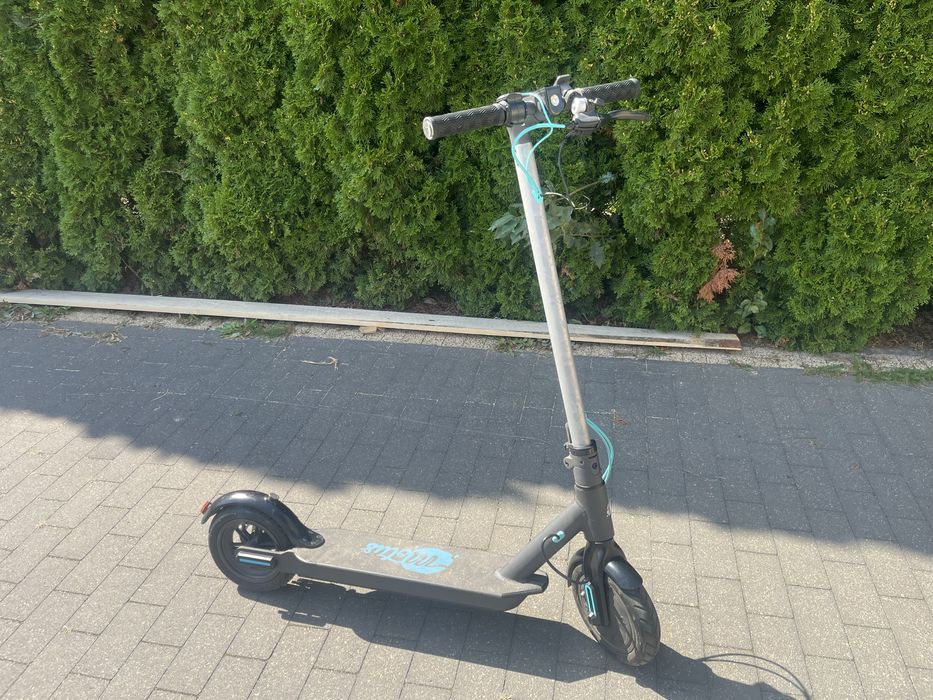 Hulajnoga elektryczna Motus