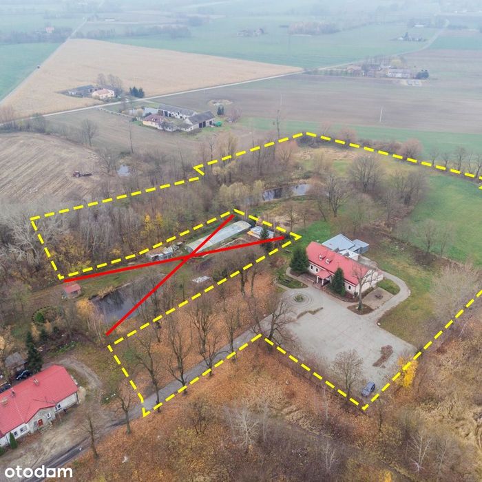 Siedlisko 2,5 ha + dworek 400 m² |cisza przyroda |Chodecz Włocławek