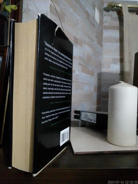 Livro THE HOST de Stephenie Meyer - em Inglês - Capa DURA