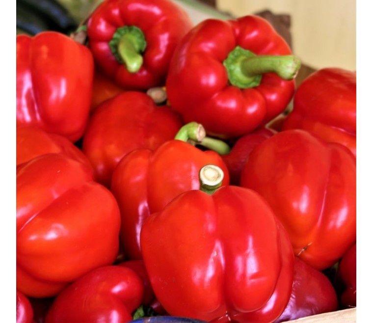Papryka czerwona 5kg