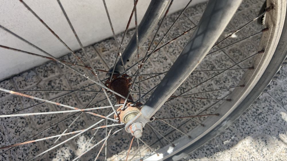 Bicicleta menina com cesto