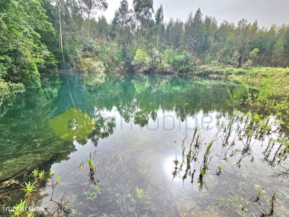 Um excelente terreno, ideal para cultivo, com 3 hectares e com uma ... — Monchique, Faro