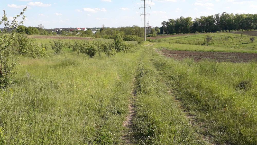 Продаю земельну ділянку с.Великі Бірки