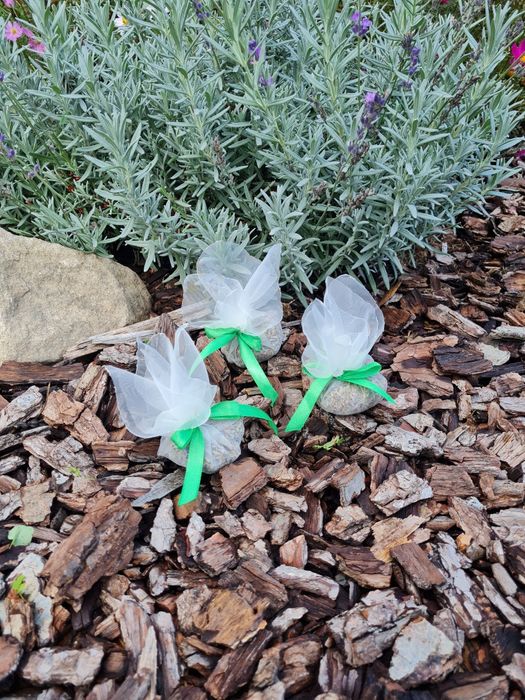 Lawenda suszona- mini torebki