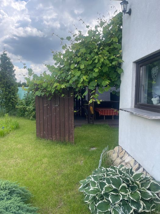 Ogródek działkowy