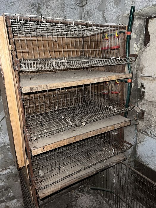 Продам клітки для перепілки