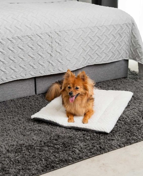 lionto Dwustronny koc rozgrzewający dla psów i kotów