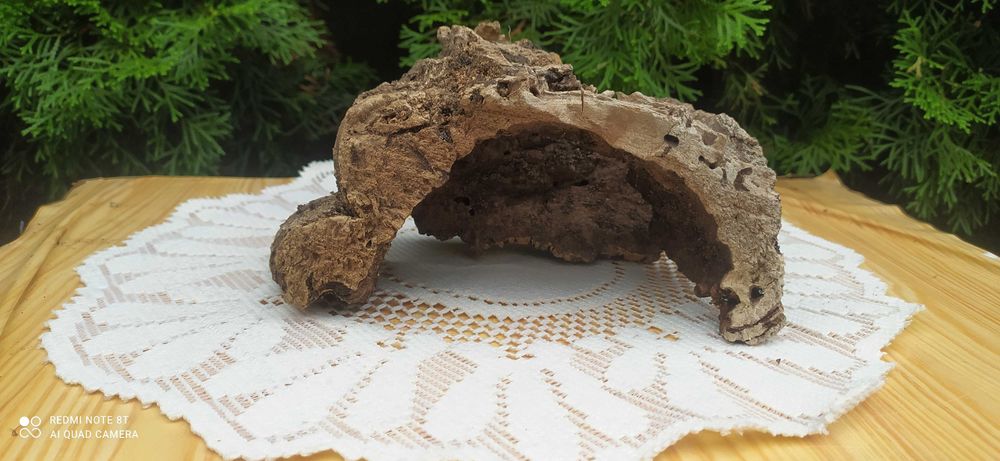 Grota do terrarium z debu korkowego