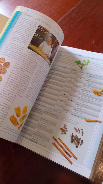 Medicinas Alternativas, Prof, Dr, Norman Shealy