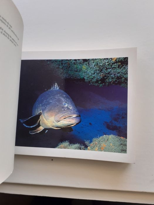 Book 30 postais, Expo 98