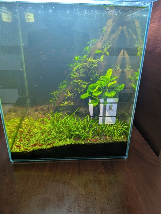 akwarium krewetkarium 30x30x35 kompletne