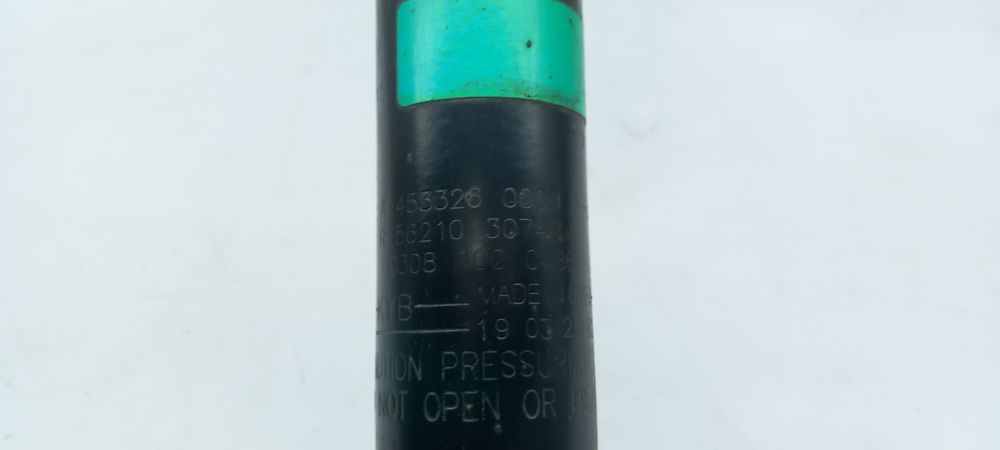 Amortecedor trás esquerdo RENAULT Twingo III (BCM_)