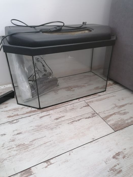 Oddam za darmo akwarium