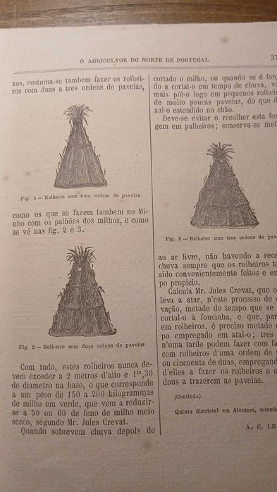 O Agricultor do Norte de Portugal (Volume 2, n 12) 1879