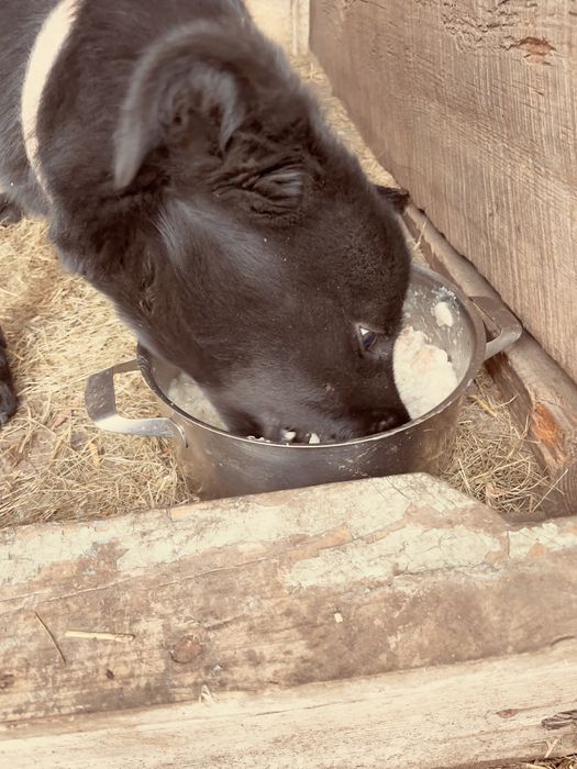 Може хтось шукає