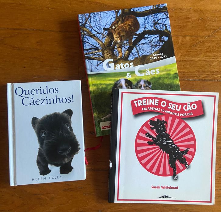Treine o Seu Cão em Apenas 10 minutos por Dia de Sarah Whitehead