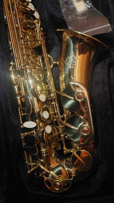 Saxofone Alto J. Michael  Al-500