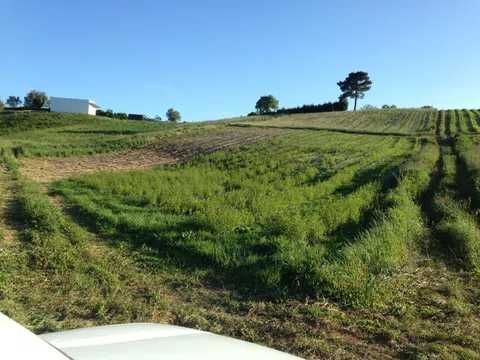 Propriedade agrícola