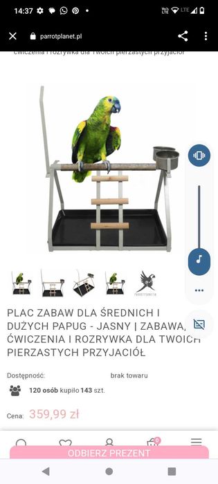 Stojak plac zabaw dla papug