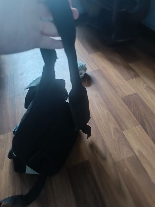 Переноска для кота