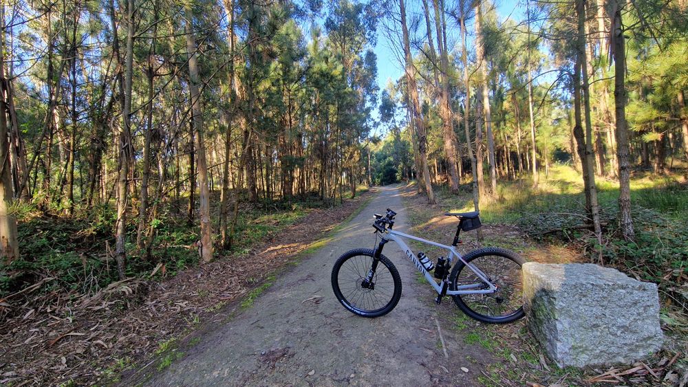 Canyon Grand Canyon 8