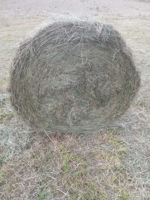 Prasa rolująca Welger rp 200( lely,sipma,kuhn)