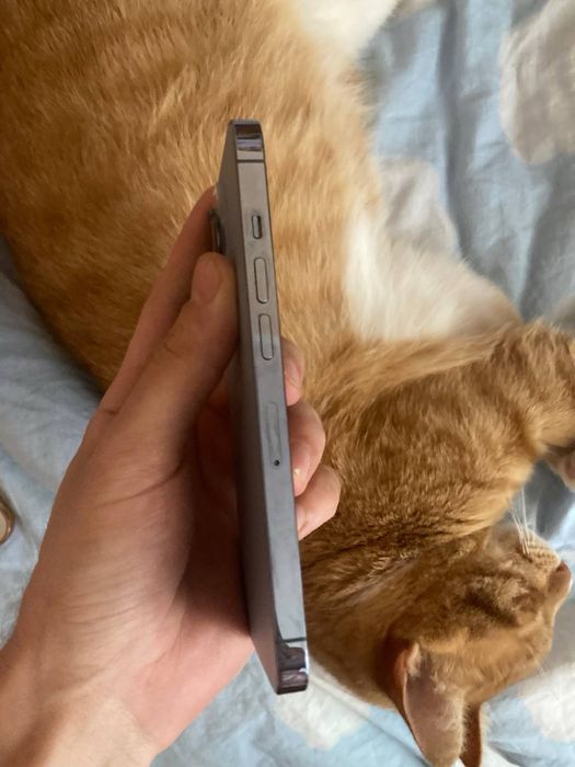 Iphone 13 pro 256gb neverlock с нюансом