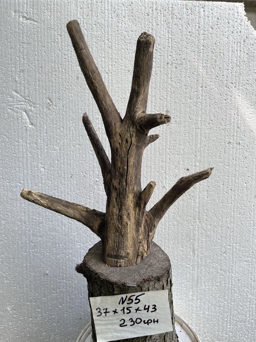 Коряги в акваріум