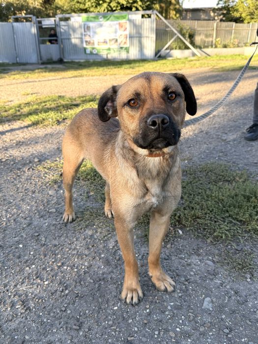 Шукаємо люблячу, відповідальну сімʼю! Хлопчик 1,5 роки