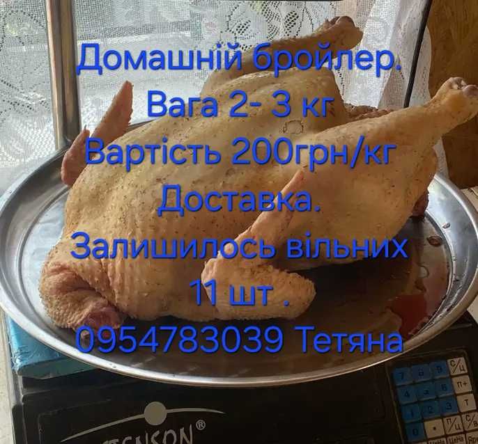Продаю м'ясо домашньго бройлера